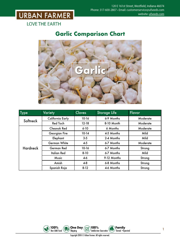Garlic Variety Comparison Chart | PDF