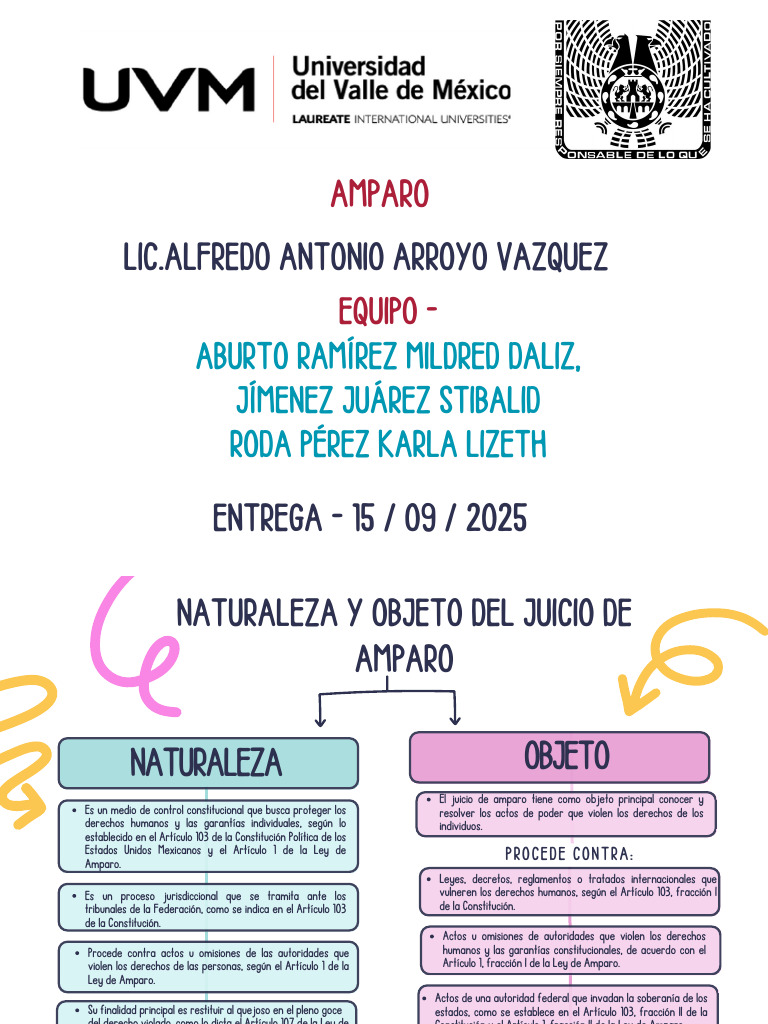 Naturaleza y objeto del juicio de amparo | PDF | Derecho Constitucional ...
