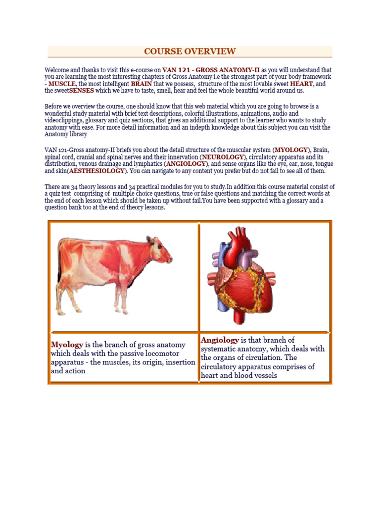 Anatomy-Van-121 (1) Anatomy Veterinary | PDF | Arm | Elbow