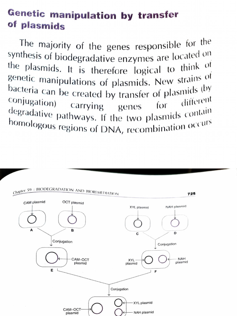 Plasmid Transfer in Biodegradation Engineering | PDF | Plasmid ...