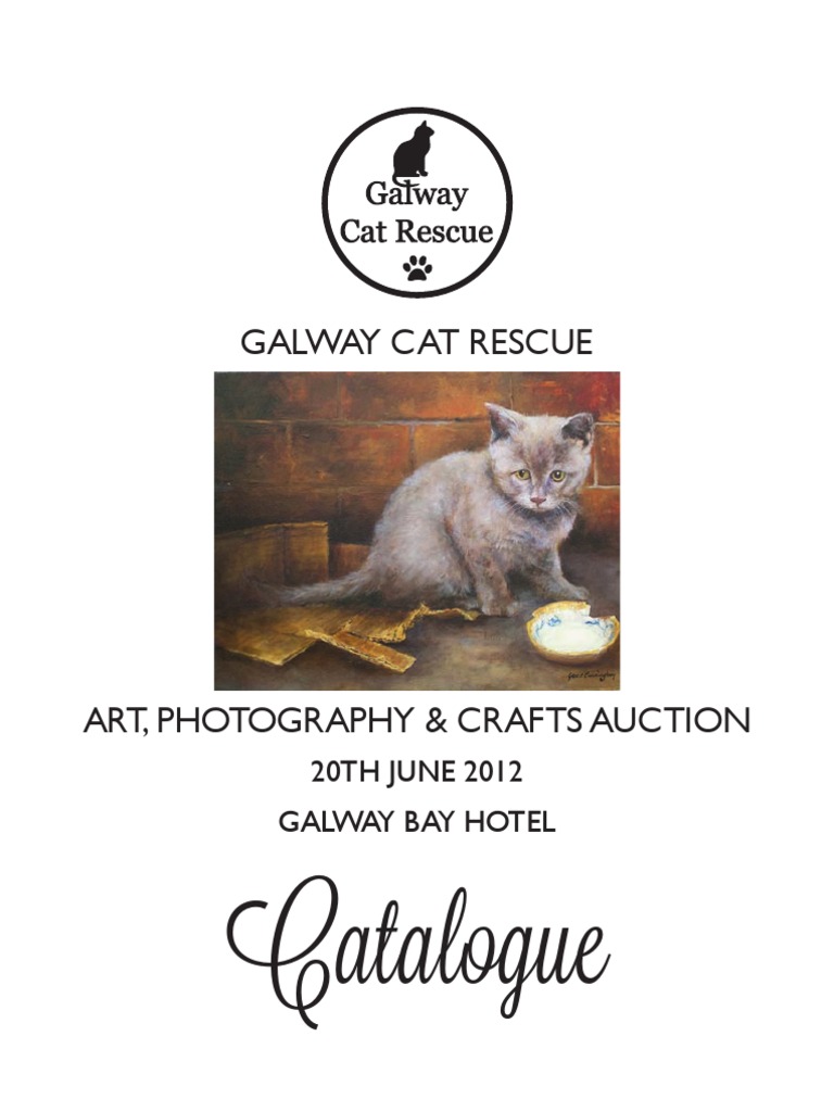 Galway Cat Rescue Auction Catalogue | PDF | Paintings | Communication ...