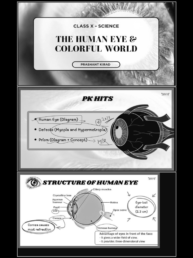 Human Eye | PDF