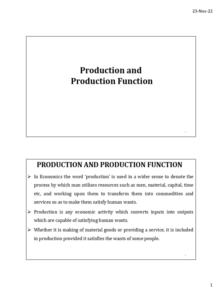 Understanding Production Functions in Economics | PDF | Production ...