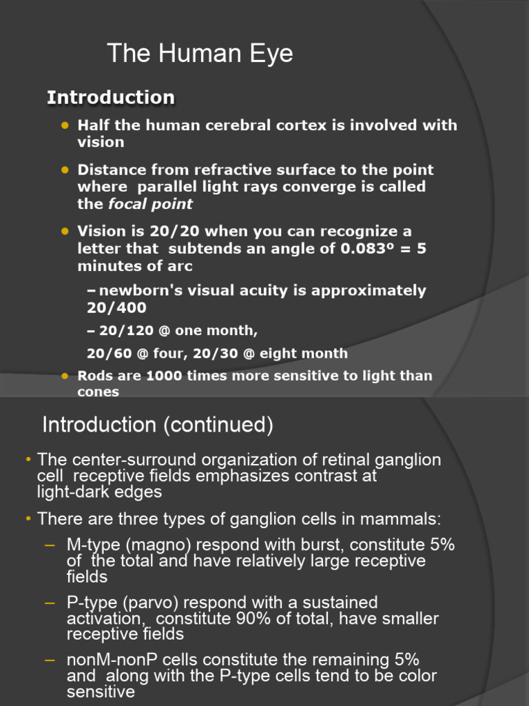Understanding Vision and Refractive Errors | PDF | Myopia | Eye