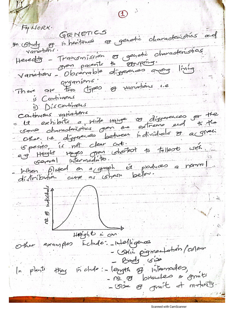 Genetics Notes | PDF