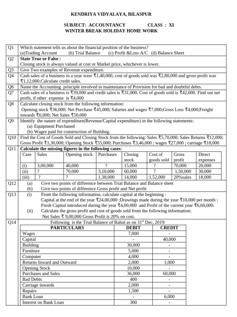 Class XI Accountancy Holiday Homework | PDF | Debits And Credits | Expense
