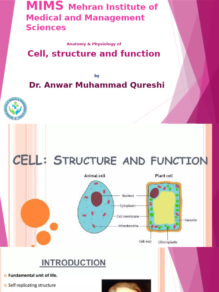 Cell Structure and Functions | PDF