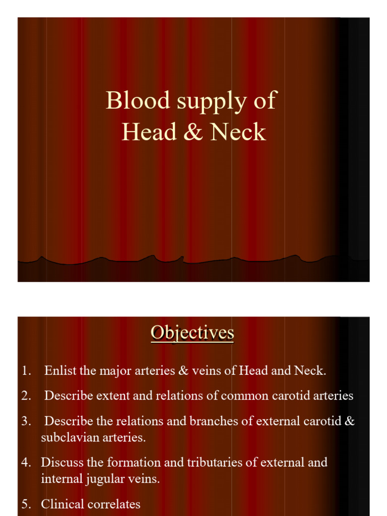 20..blood Supply of Head and Neck | PDF | Common Carotid Artery | Vein