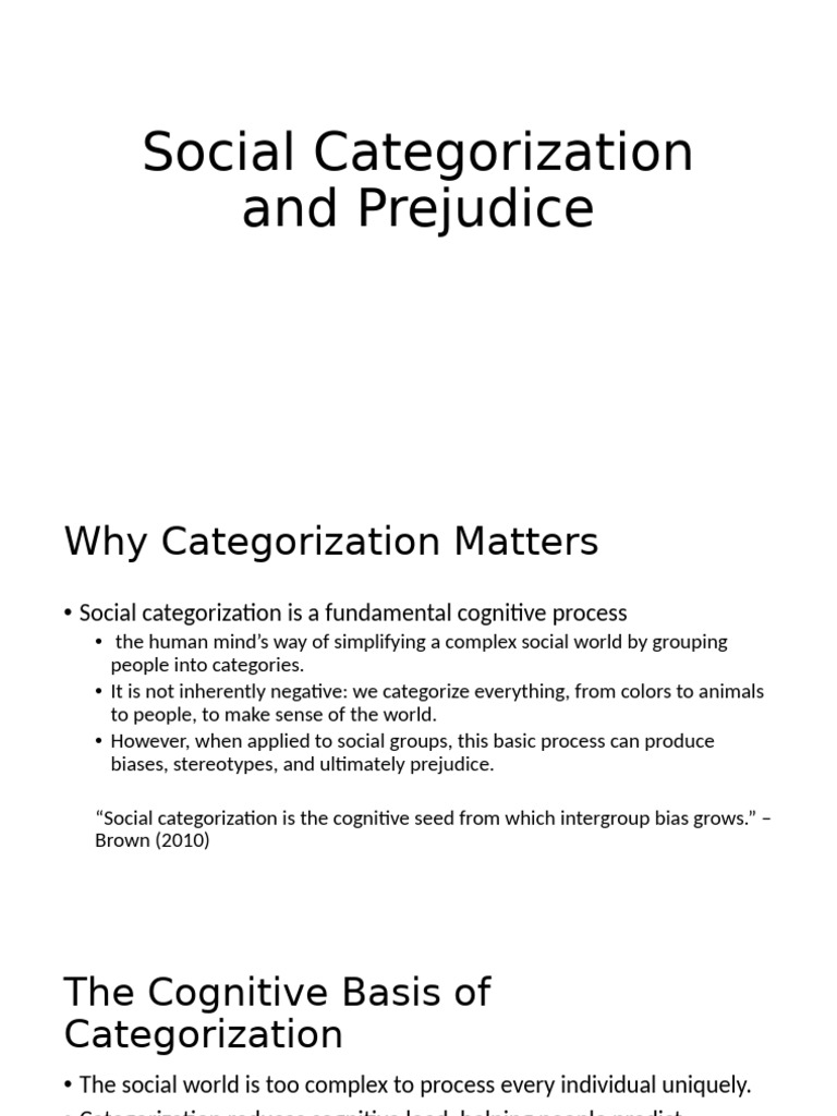 Understanding Social Categorization and Prejudice | PDF | Stereotypes ...