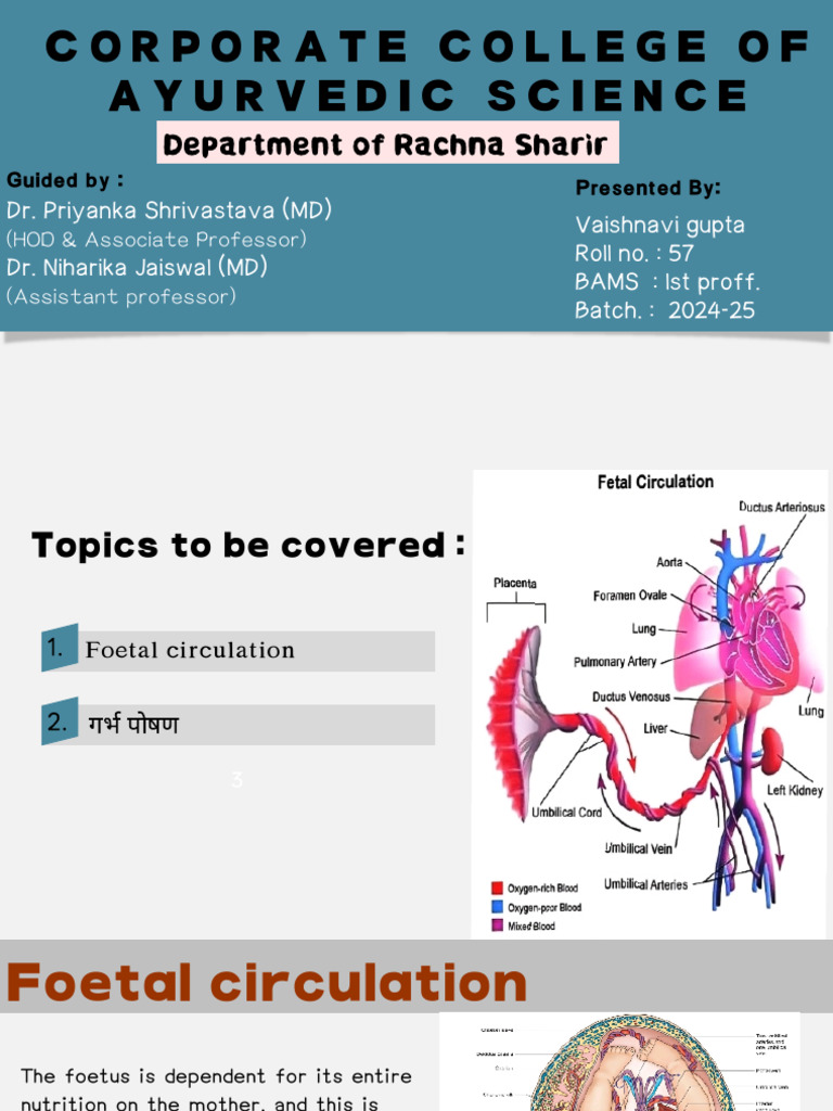 Vaishnavi Gupta | PDF