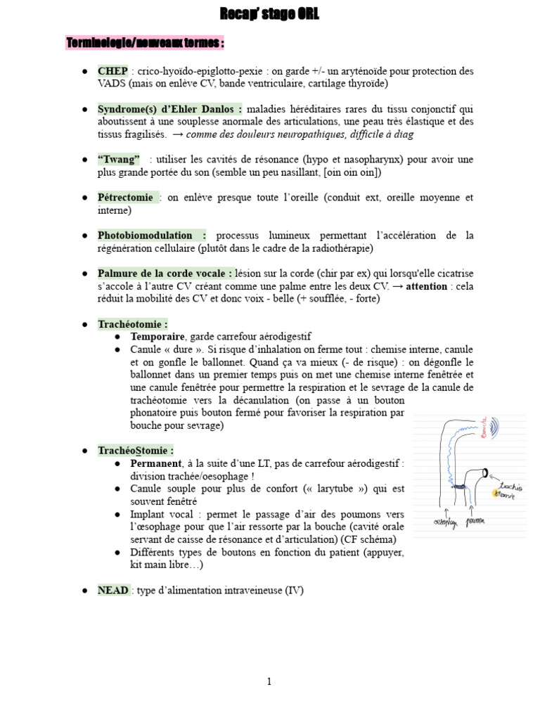 Terminologie et Rééducation ORL Post-Opératoire | PDF