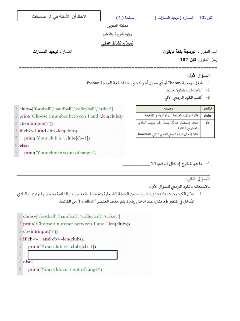 Python Programming Activity Guide | PDF