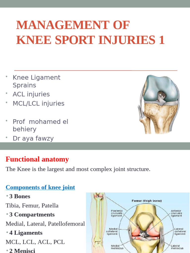 Knee Sports Injuries Management Guide | PDF | Knee | Limbs (Anatomy)