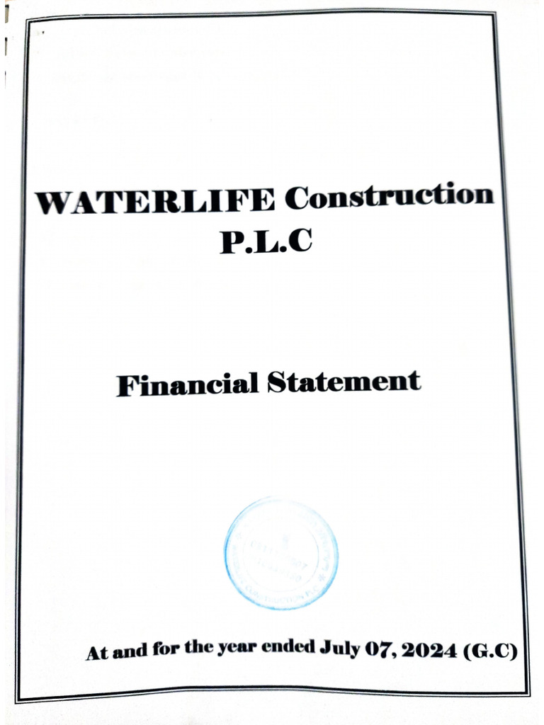 Annual Financial Report 2024 | PDF