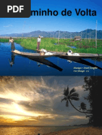 o Caminho de Volta