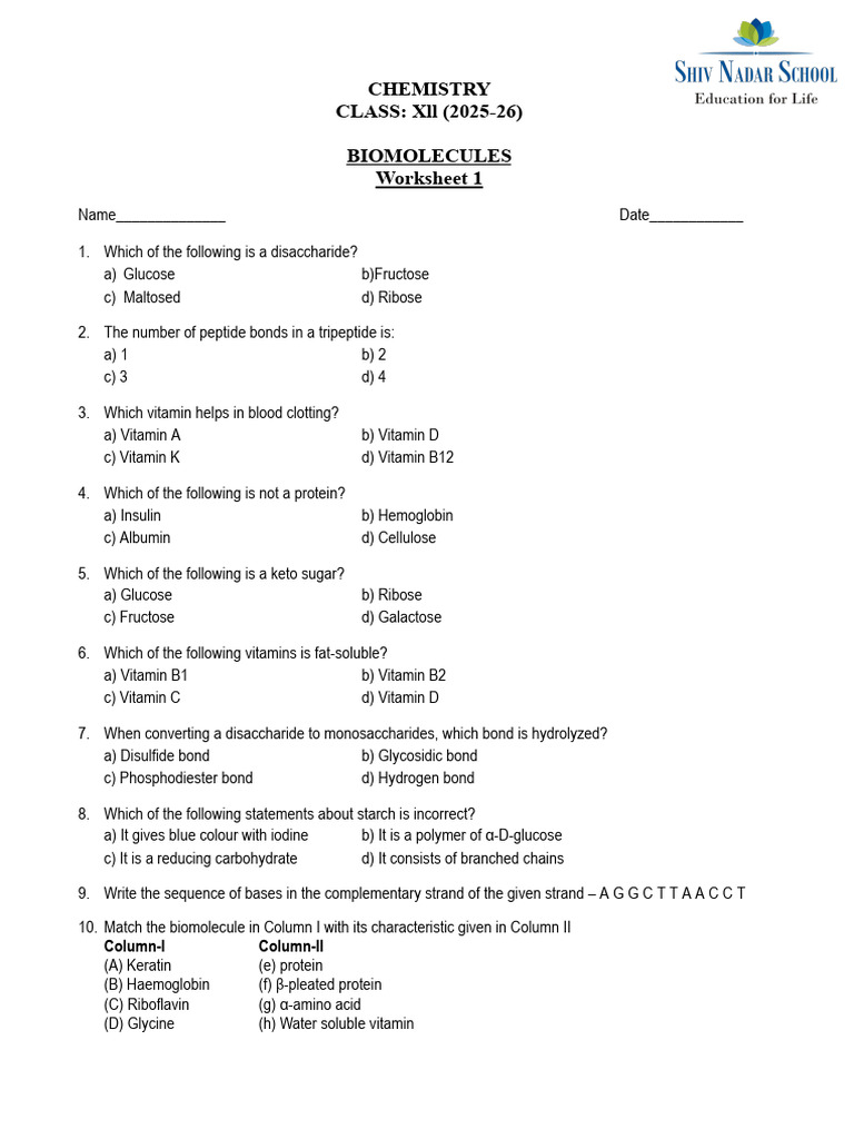 Biomolecules Worksheet for Class XII | PDF | Biomolecules | Molecular ...