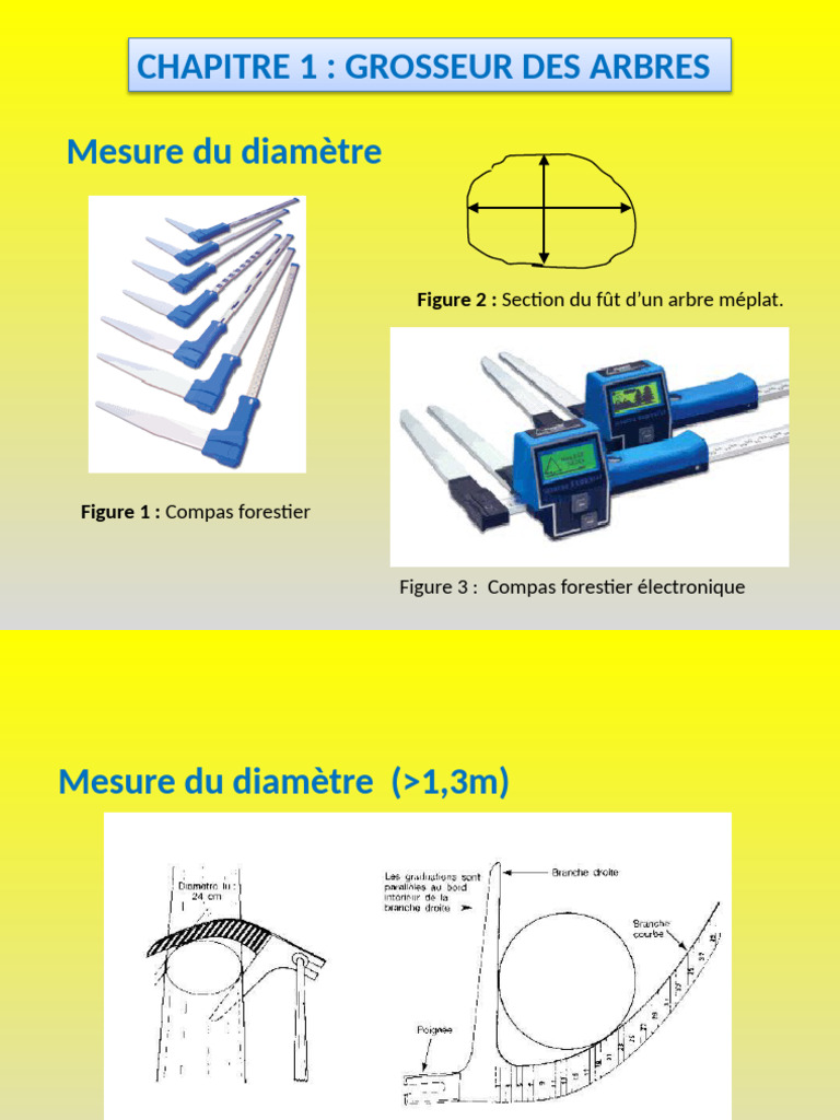 Mesure du diamètre des arbres en forêt | PDF