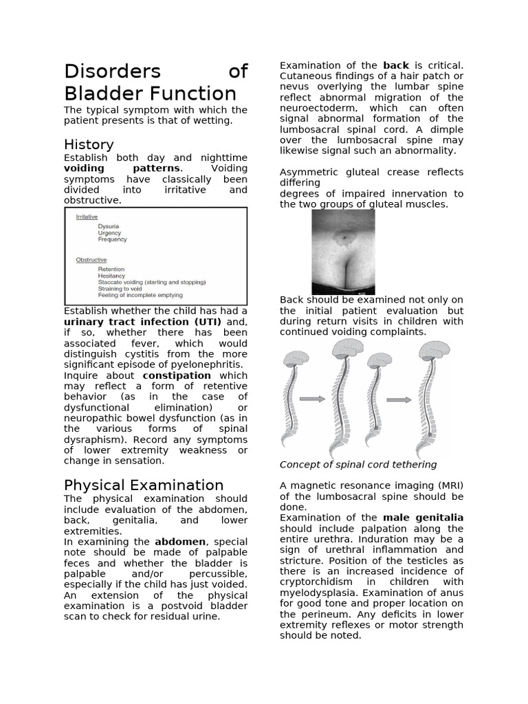 Bladder Dysfunction in Children: Diagnosis | PDF | Urinary Incontinence ...