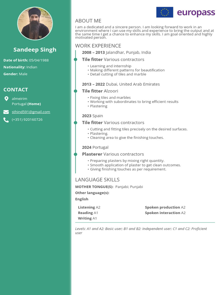 Tile Fitter and Plasterer Resume | PDF