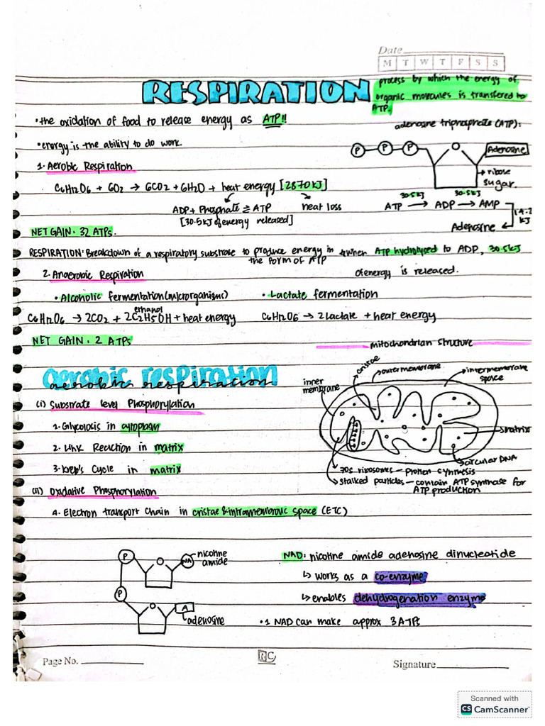 A2 Bio Notes Handwritten | PDF