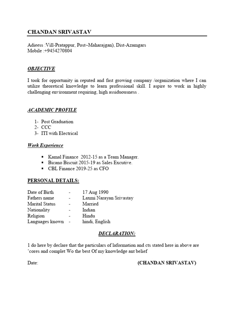 Chandan Srivastav - Professional Resume | PDF