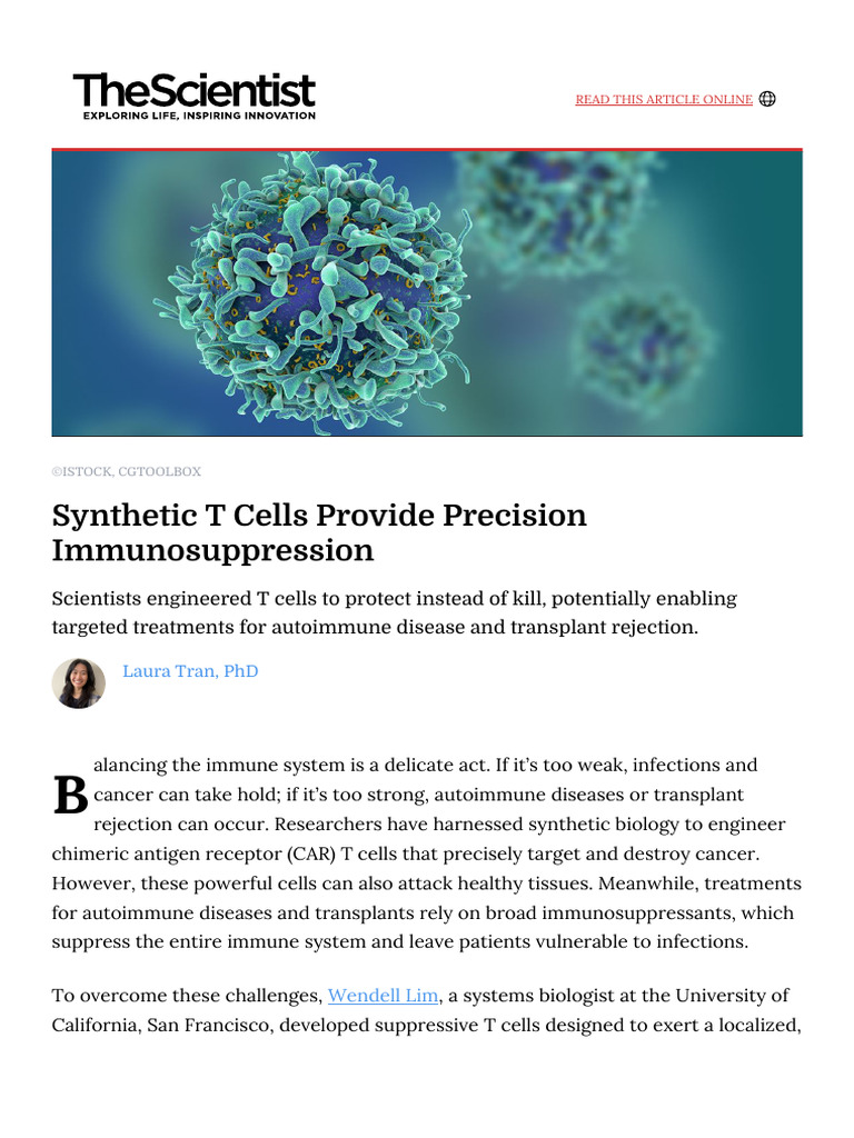 Engineered T Cells for Targeted Immunosuppression | PDF | T Cell ...