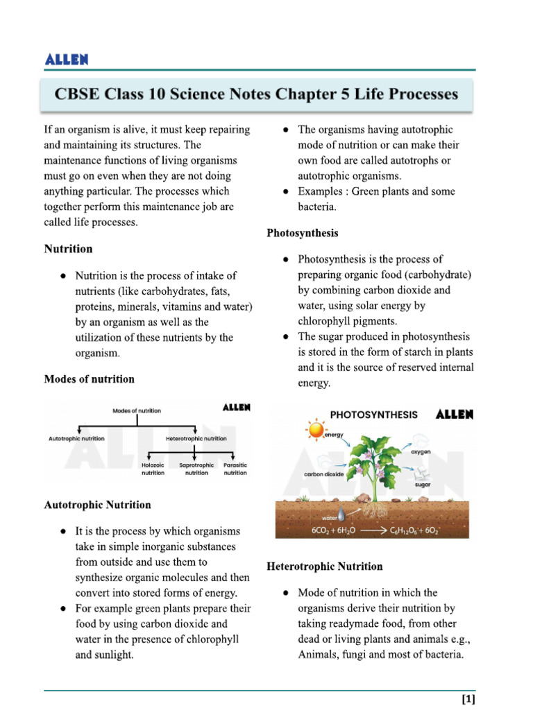 Ch.5 Life Processes | PDF