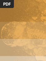 Decifrar o Passado a Partir Dos Esqueletos