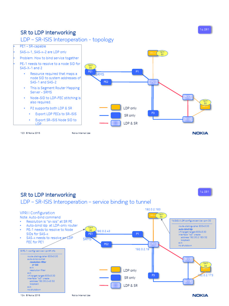SR to LDP Interworking Guide | PDF | Networking | Multiprotocol Label ...