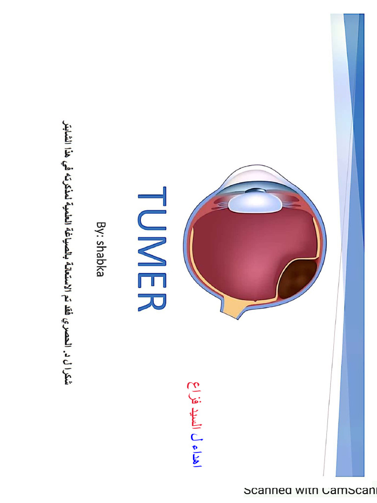 Tumer by Shabka | PDF
