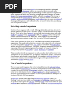 Download A Model Organism by life_rocks1692 SN97447719 doc pdf