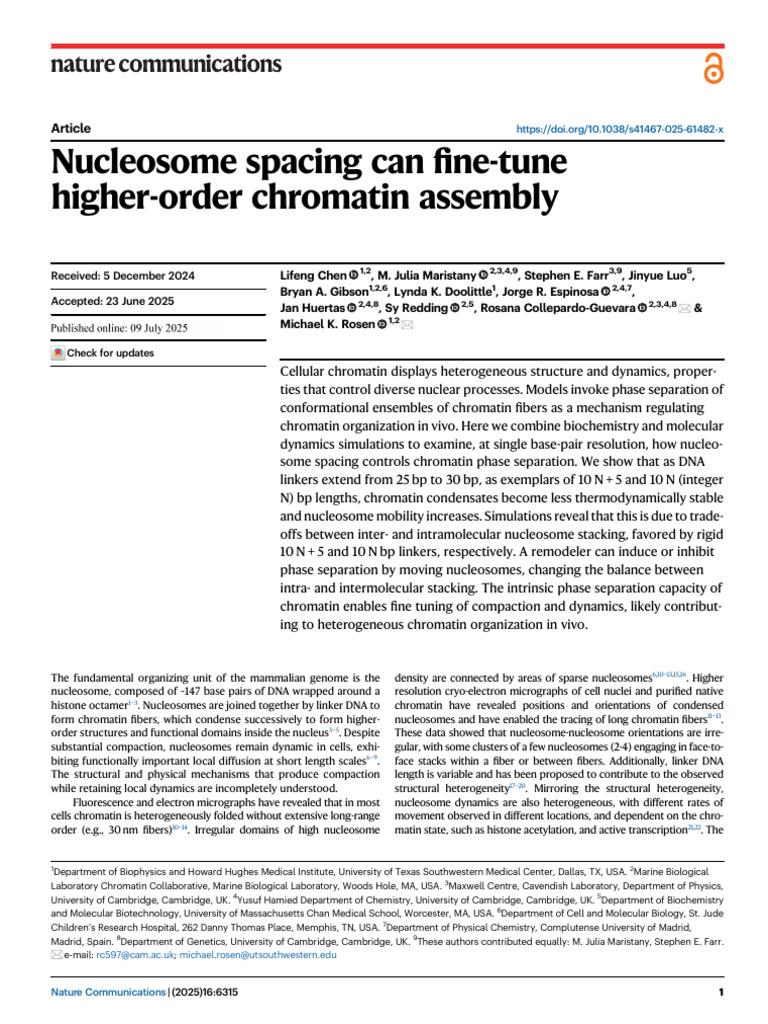 Nucleosome Spacing and Chromatin Dynamics | PDF | Chromatin | Histone