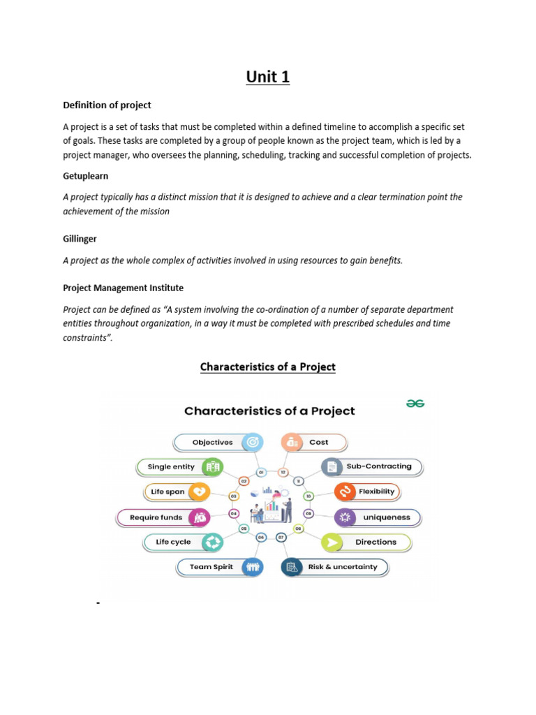 Understanding Project Definitions and Types | PDF | Project Management ...