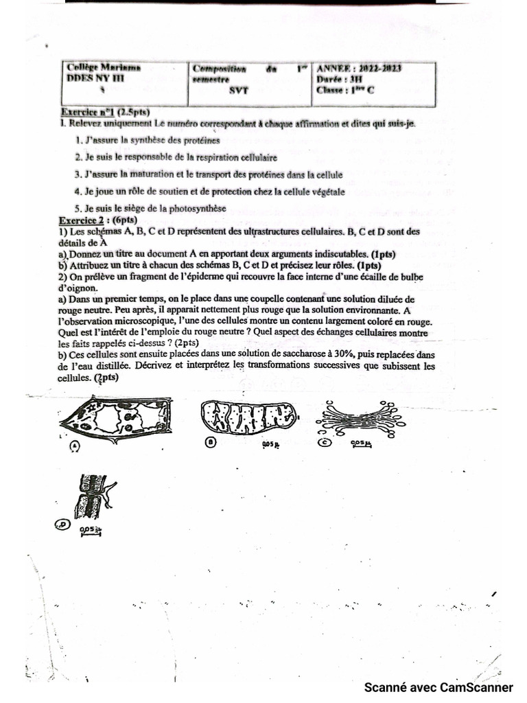 CamScanner 14-11-2025 12.56 | PDF