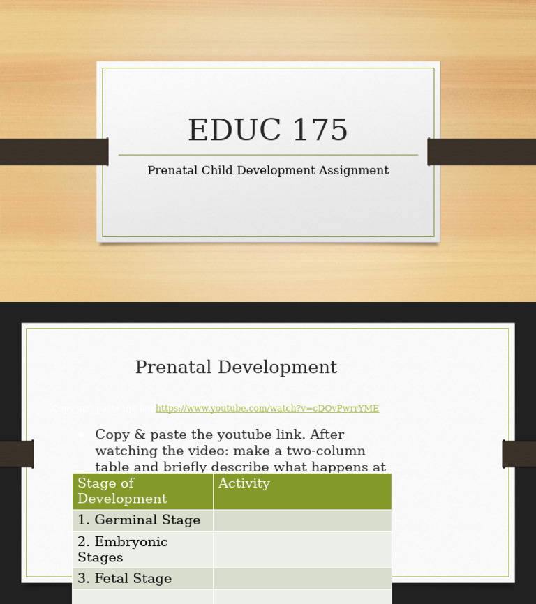 Prenatal Child Development Assignment | PDF
