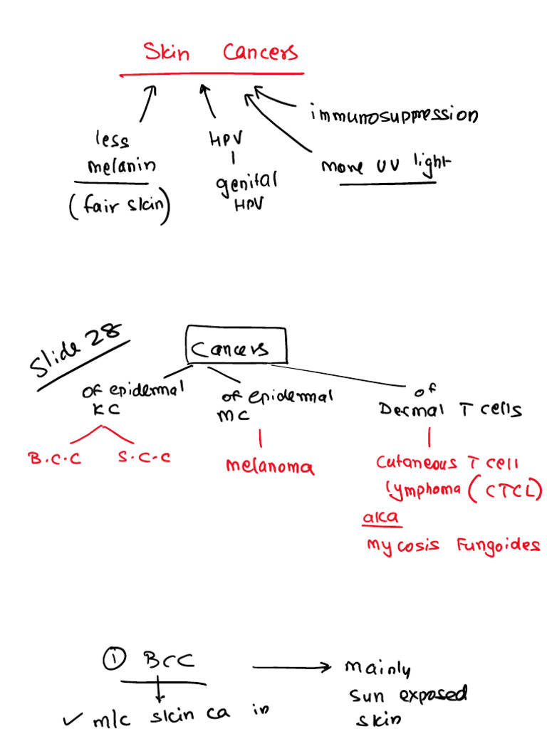 Derma 3 | PDF