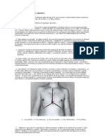 Evaluación Del Paciente Cardiaco