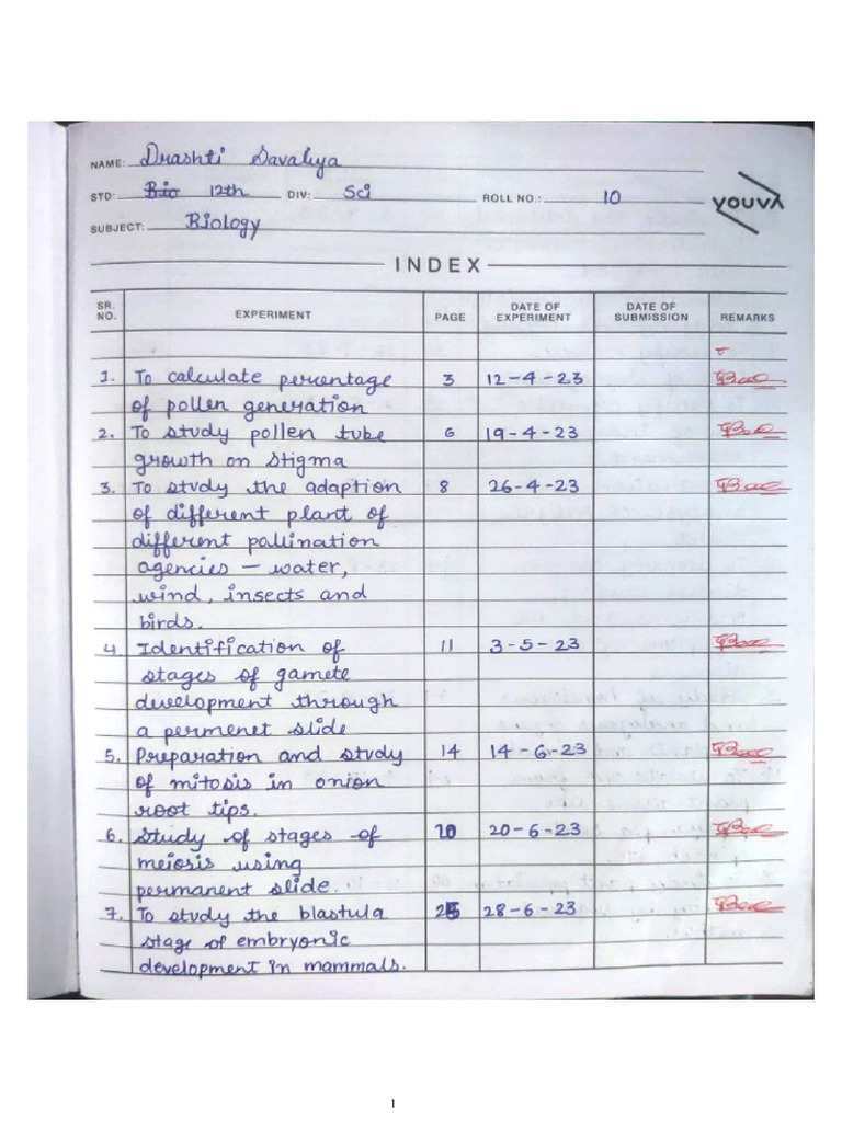 Document Structure and Formatting Guide | PDF