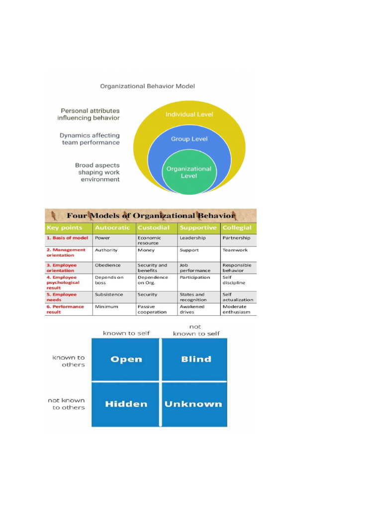 Understanding Organizational Behaviour Basics | PDF