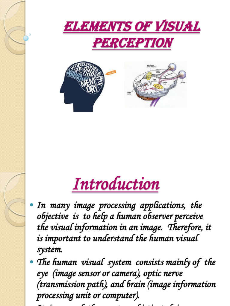 Understanding Human Visual Perception | PDF | Eye | Retina