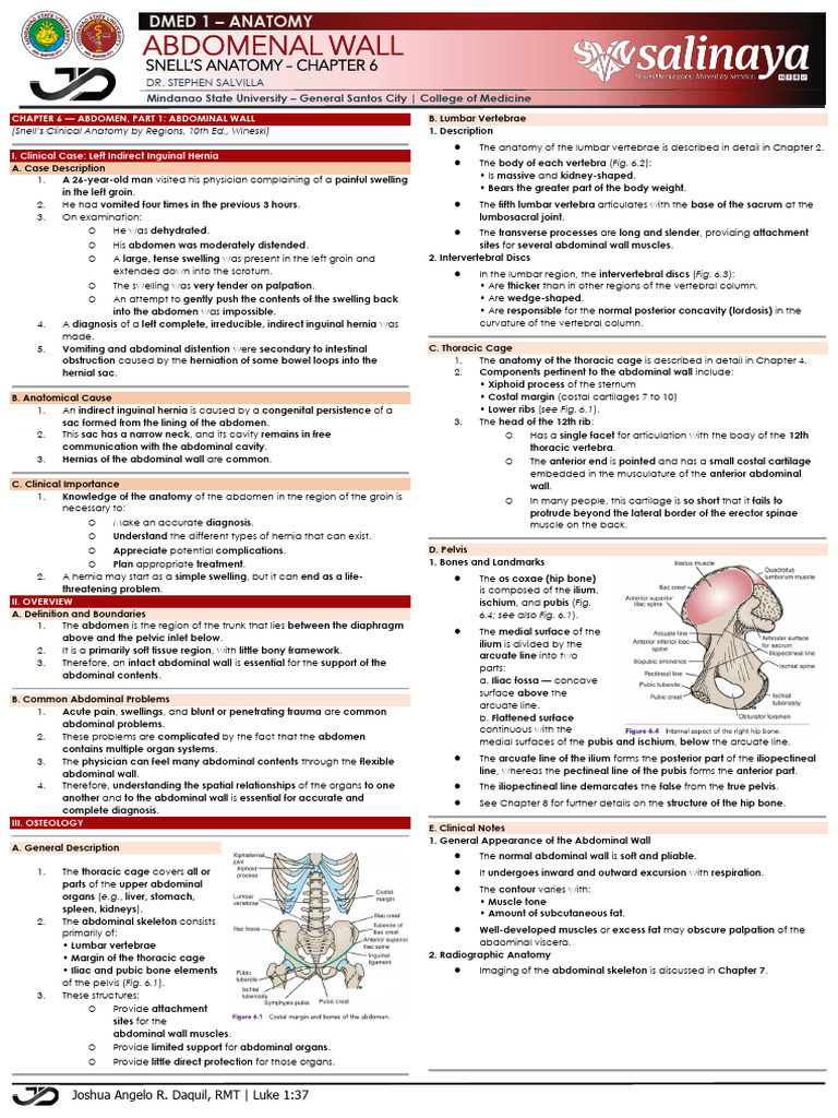 Abdominal Wall Anatomy and Hernias | PDF | Abdomen | Vein
