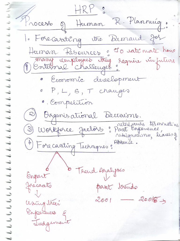 Human Resource Planning | PDF