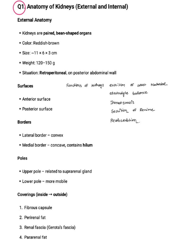 Urology 1-19 - 251225 - 104943 | PDF
