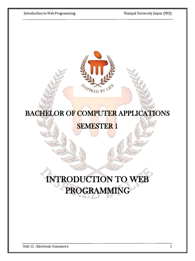 E-Commerce Fundamentals and Security | PDF | Digital Marketing | E Commerce