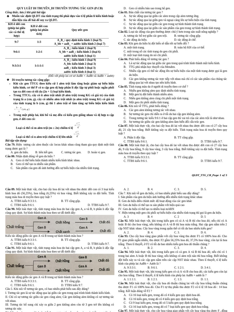 TTG CB | PDF