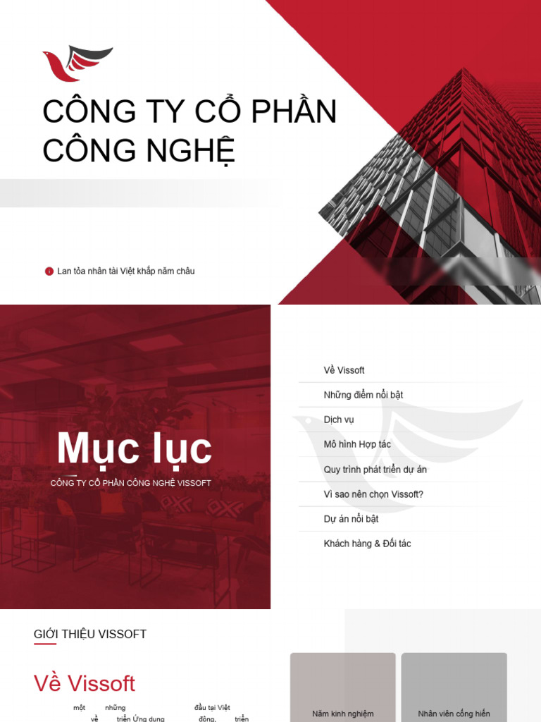 (VISSOFT) Portfolio Tiếng Việt - vfinal | PDF