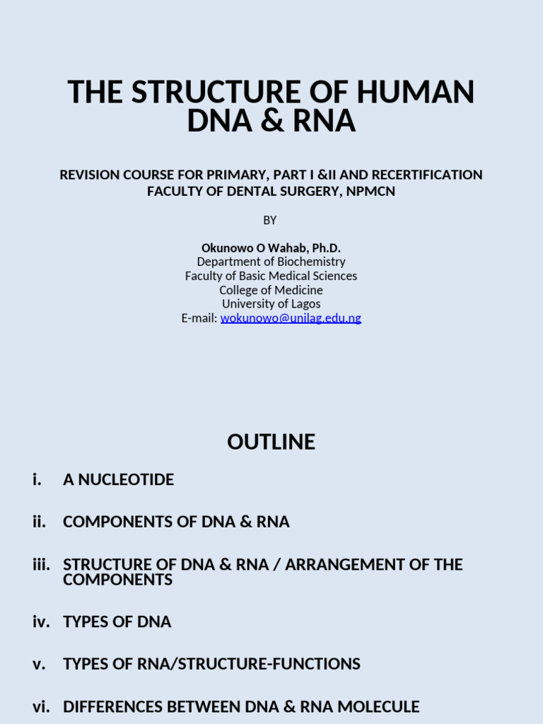 Human DNA & RNA Structure Overview | PDF | Rna | Dna