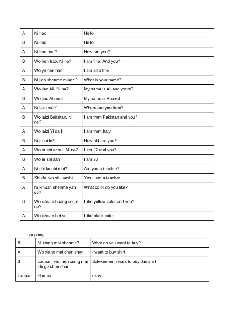 Basic Chinese Conversation Phrases | PDF