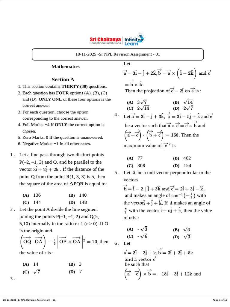 Senior NPL Revision Assignment 2025 | PDF | Geometry | Mathematical ...
