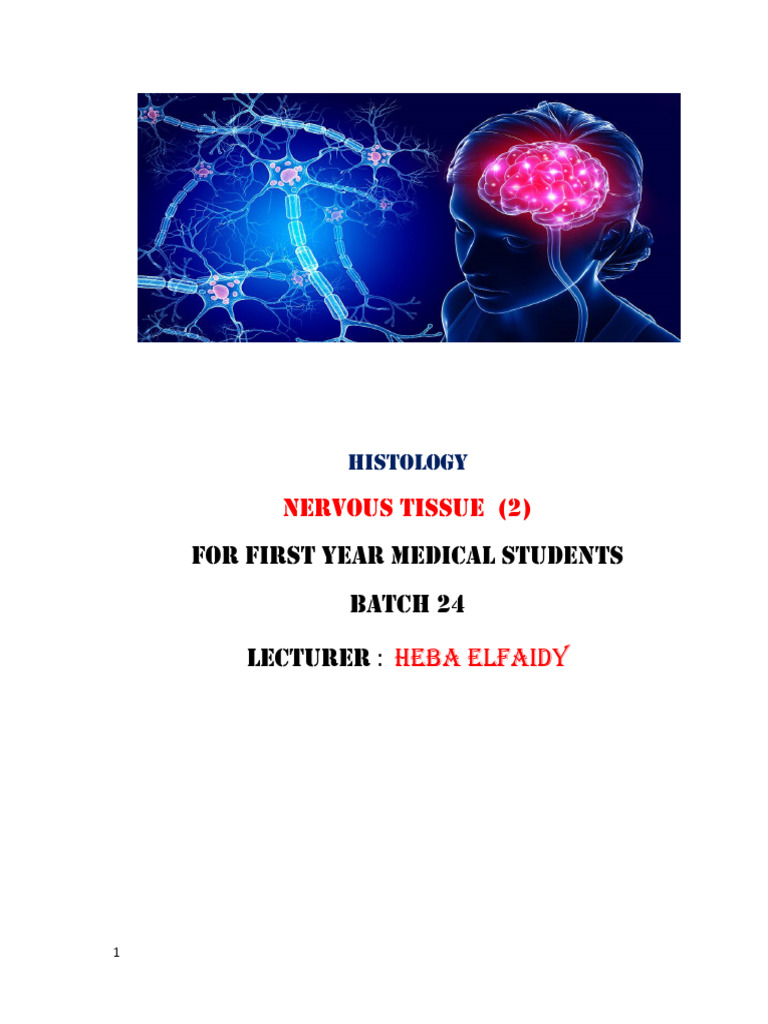 Nervous Tissue 2 Ba 24 - 250826 - 185510 | PDF | Axon | Myelin